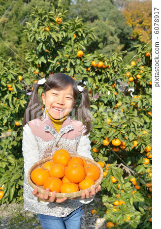 狩獵橘子的女孩 6078917
