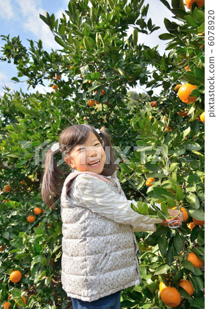 狩獵橘子的女孩 6078920