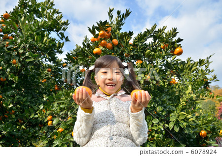 狩獵橘子的女孩 6078924