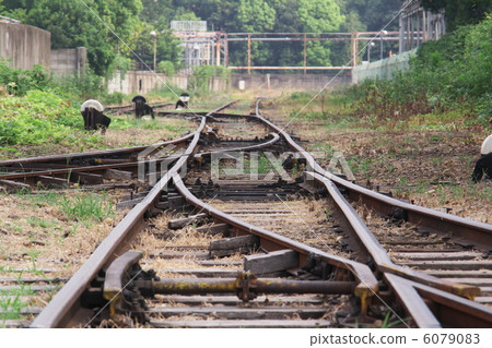 軌道的分支 6079083