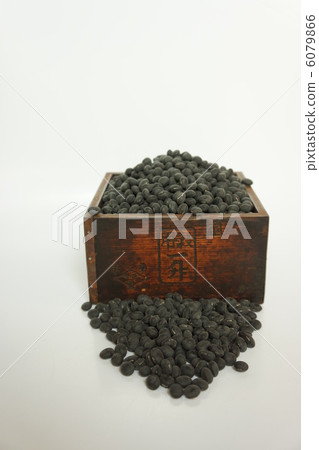 黑大豆松鼠 黑大豆松鼠 6079866