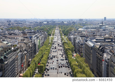 View from Champs Elysees from Arc de Triomphe 6081450