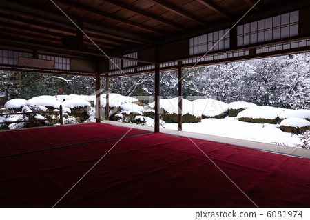 Snow's Shiseido 6081974