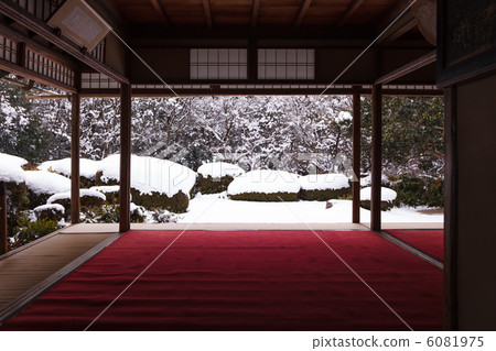 Snow's Shiseido 6081975