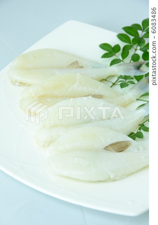 河豚過夜乾燥 6083486