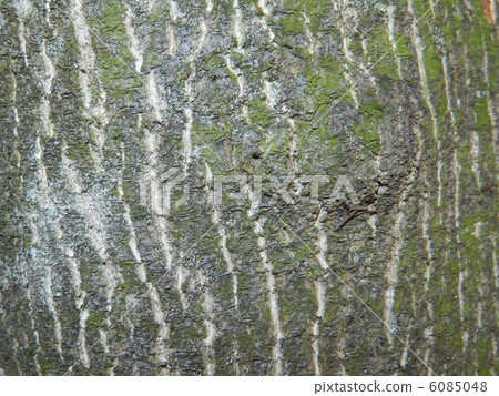 Gonzui's skin 6085048