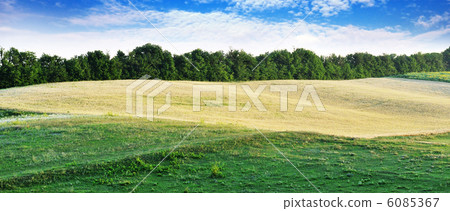 green meadow green meadow 6085367