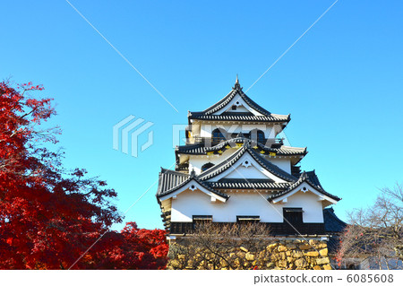 Takamori Hikone castle 6085608