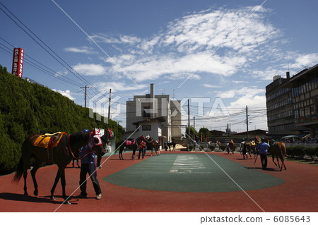 Fukuyama Racecourse Paddock 6085643