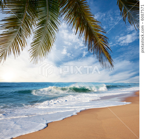 Tropical beach Tropical beach 6087571