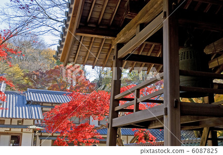 Zodoji鐘樓和秋葉 6087825