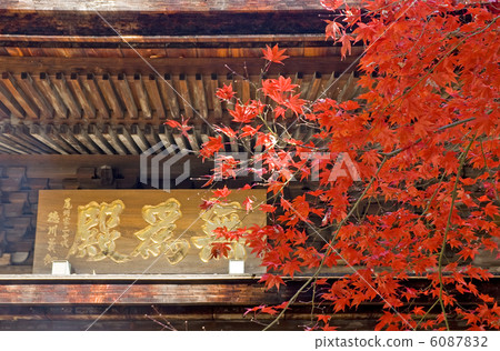 Autumn leaves of Jogyoji Autumn leaves of Jogyoji 6087832
