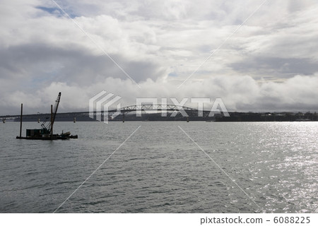 新西蘭海 新西蘭海 6088225