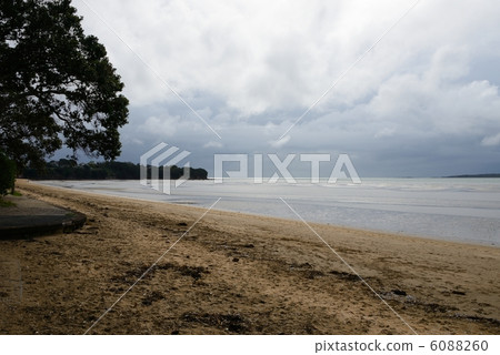 奧克蘭海 6088260