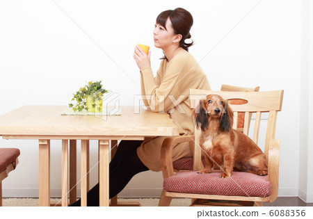 跳舞的小姐和臘腸犬 6088356