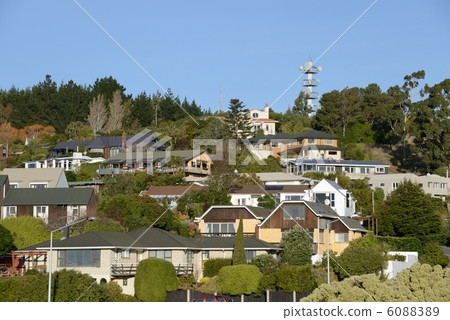 Takahe的新西蘭標誌 Takahe的新西蘭標誌 6088389