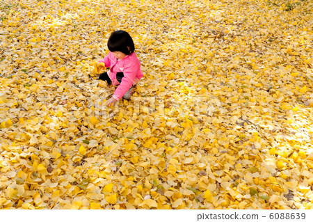一個孩子在玩銀杏樹的落葉 6088639