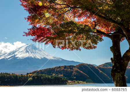 Kawaguchiko Momiji tunnel 6088765