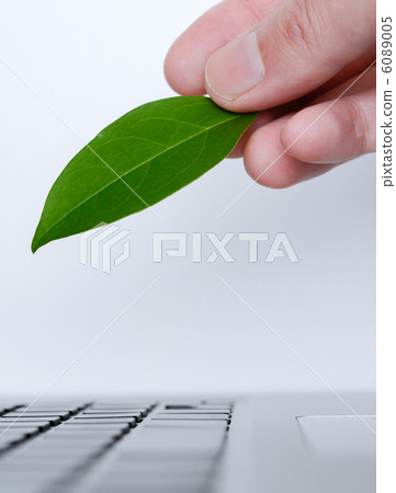 葉子和鍵盤 6089005