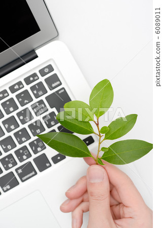一台筆記型電腦和一隻手拿著新鮮的綠葉 6089011