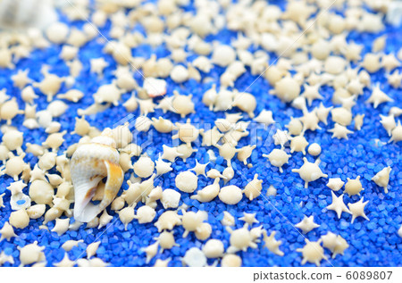 單面的沙星 單面的沙星 6089807