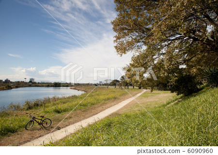 Tamagawa bank on the vicinity of 4-chome Denenchofu, Ota-ku Tamagawa bank on the vicinity of 4-chome Denenchofu, Ota-ku 6090960