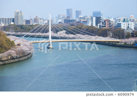 沿著大川的櫻花 6090974