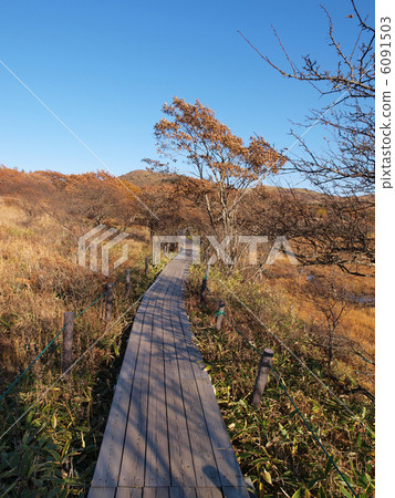 Kirigamine·Hachijigahara沼澤 Kirigamine·Hachijigahara沼澤 6091503