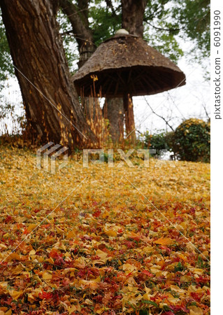 Shakuen風景區 6091990