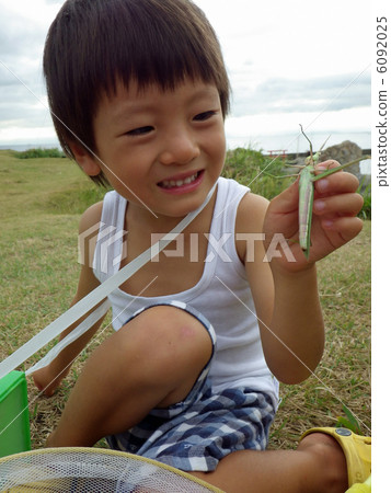 Shorurata (grasshopper) and child Shorurata (grasshopper) and child 6092025