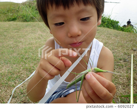 Shorurata (grasshopper) and child Shorurata (grasshopper) and child 6092027