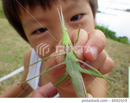 Shorurata(蚱蜢)和孩子 Shorurata(蚱蜢)和孩子 6092029