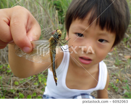 孩子捕獲蜻蜓 6092063