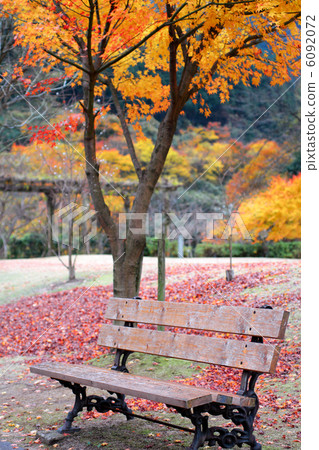 Bench Bench 6092072