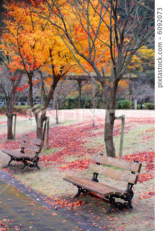 Bench Bench 6092073