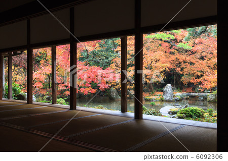 秋葉蓮花寺廟 6092306