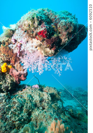 一種Umithosaka 6092510