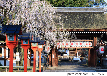 Spring plain shrine 6092537