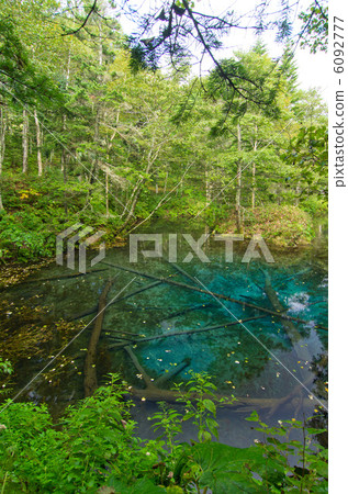 北海道上帝的池塘 6092777