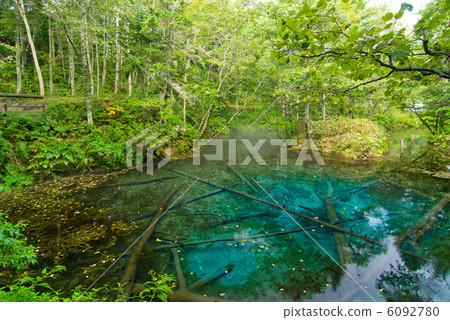 北海道上帝的池塘 6092780