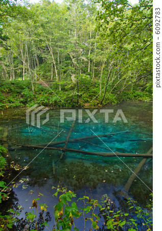 北海道上帝的池塘 6092783