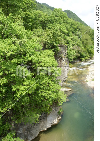 Fresh green "Early summer · Fuki fountain" 6092827
