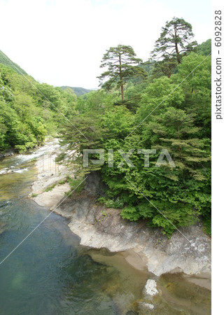Fresh green "Early summer · Fuki fountain" 6092828
