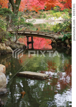 Autumn leaves of Shukkei 6093381