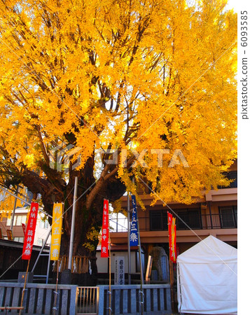 Kushida Shrine 6093585