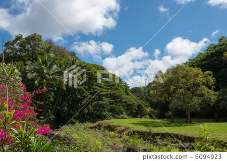夏威夷山谷 夏威夷山谷 6094923