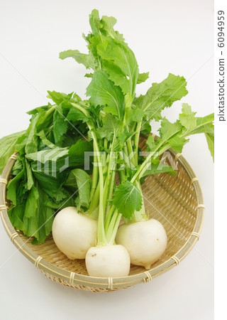 Small turnip 6094959