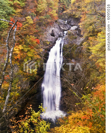 秋天Akiho Otori 6095016