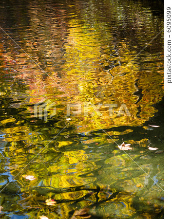 秋葉在水的表面反射了 6095099