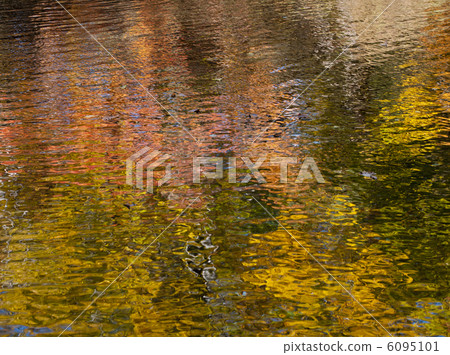 Autumn leaves reflected on the surface of the water 6095101